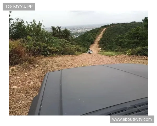 如何选择适合不同游戏场景的开云tyre轮胎型号及其性能优势详解